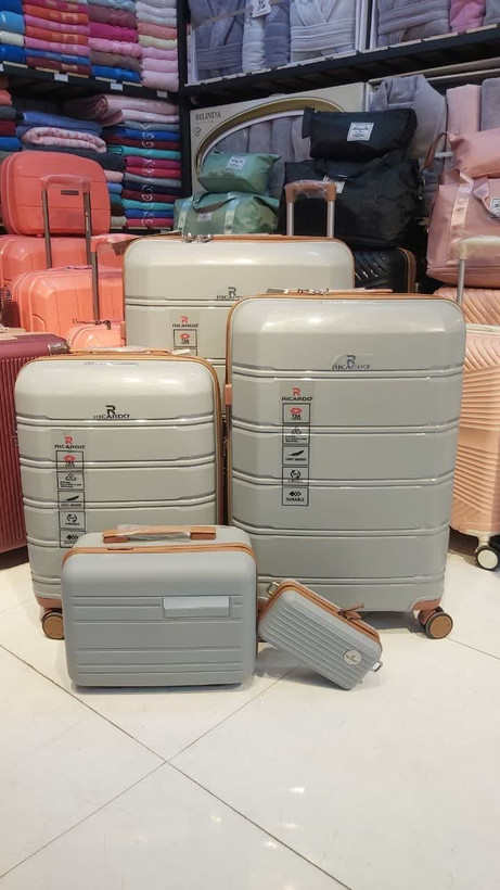 چمدان ریکاردو 005 طوسی